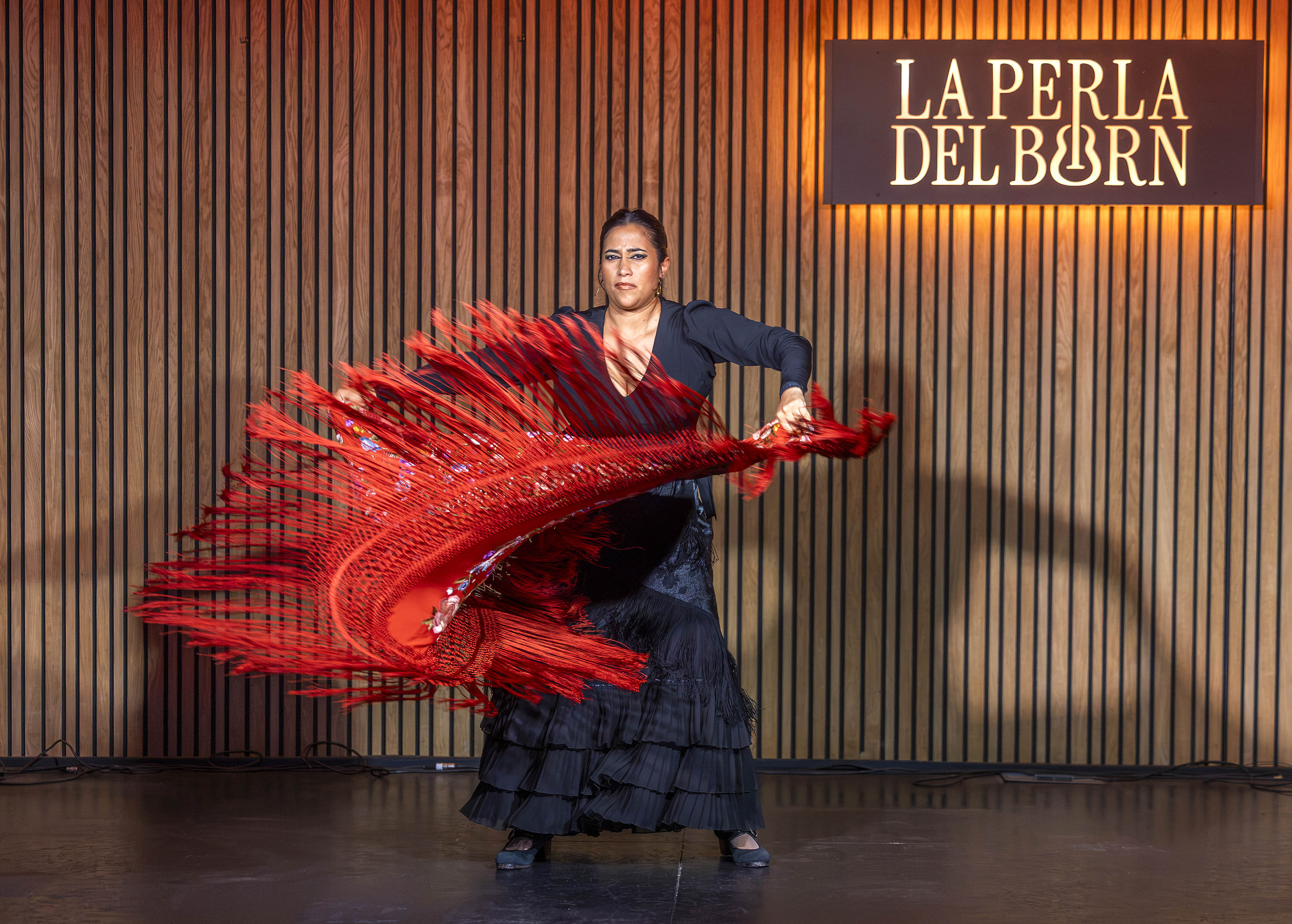 Espectáculo flamenco